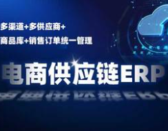 电商供应链ERP管理系统
